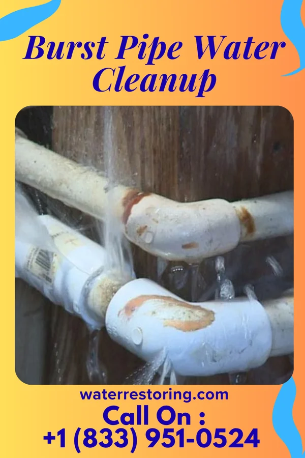 Burst Pipe Water Cleanup in Ho-Ho-Kus, NJ