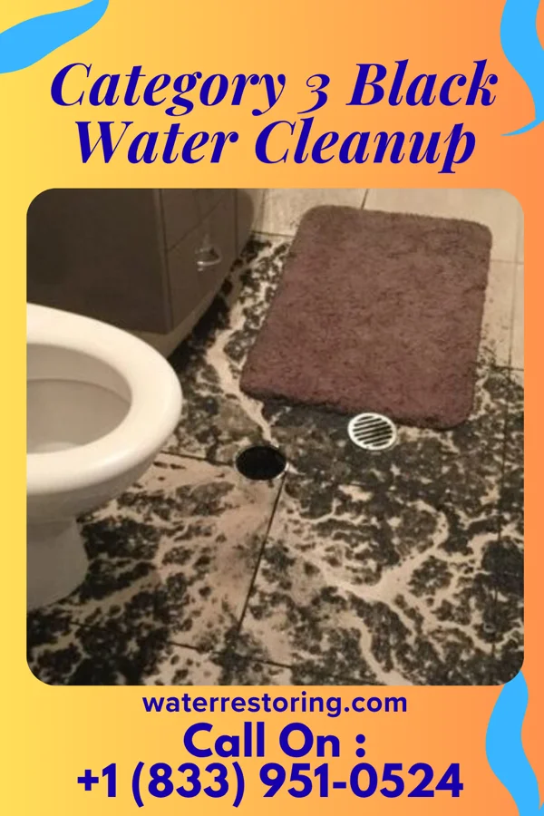 Category 3 Black Water Cleanup in Ho-Ho-Kus, NJ