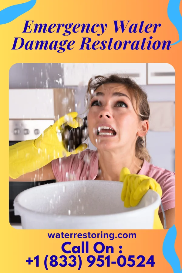 Emergency Water Damage Restoration in Ho-Ho-Kus, NJ