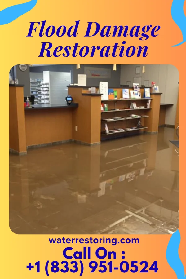 Flood Damage Restoration in Ho-Ho-Kus, NJ