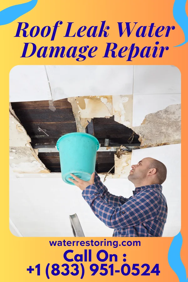 Roof Leak Water Damage Repair in Ho-Ho-Kus, NJ