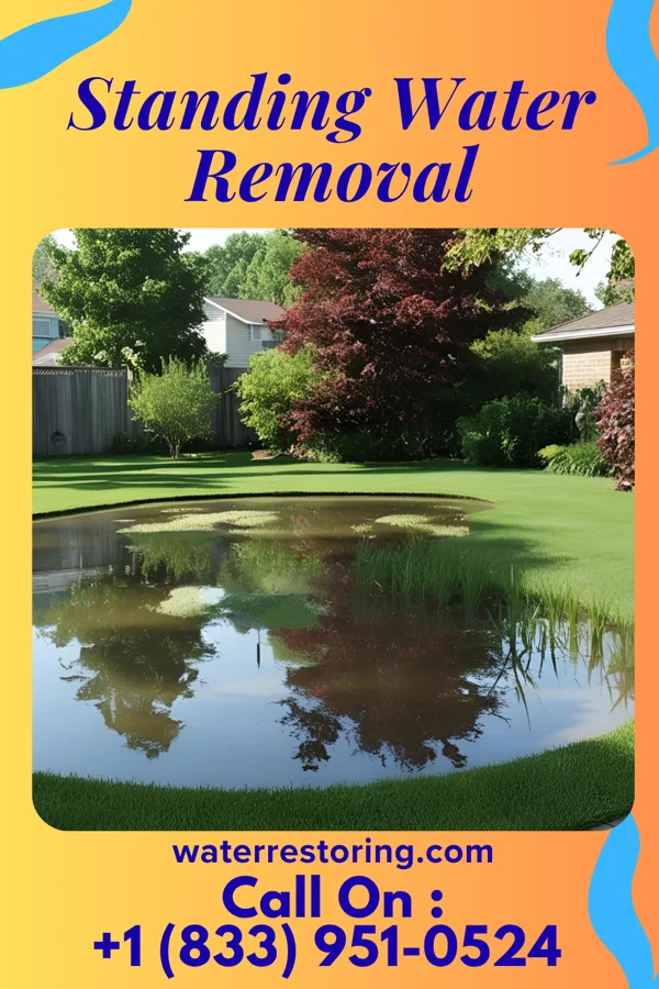 Standing Water Removal in Ho-Ho-Kus, NJ